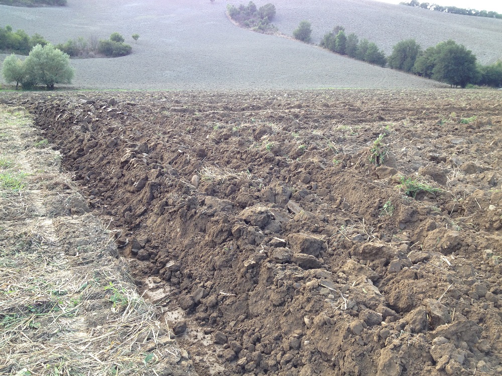 Anche in collina, oltre che in pianura, l’abbandono dell’aratura profonda porterebbe a significativi vantaggi, limitando l’erosione del suolo e gli smottamenti che portano a valle tonnellate di terreno.