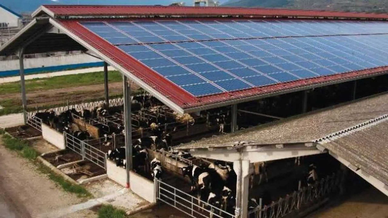 Fotovoltaico agricolo